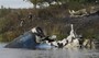 Plane Crash Claims Lives of Nearly Entire KHL Team