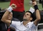 Djokovic Comes Back to Defeat Federer