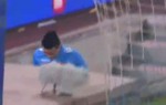 Player Celebrates Too Early on Pena