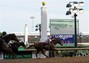 Final Stretch of Kentucky Derby
