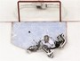 Coyotes' Morris Scores From Center Ice