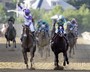 I'll Have Another Noses Past Bodemeister in Preakness Stakes