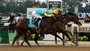 Union Rags Wins Belmont Stakes