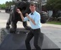 Jaguars Introduce 'Jaguaring'