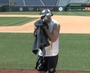Nats' Harper Takes Pie in the Face