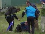 McIlroy Drive Hits Spectator in the Head