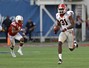 Georgia Breaks Away Late in High-Scoring Capital One Bowl