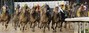2010 Kentucky Derby