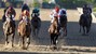 2010 Preakness Stakes