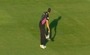 Bird is Hit Out of the Air by Cricket Ball