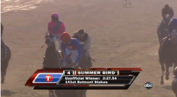 2009 Belmont Stakes
