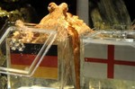 German Octopus Remains Perfect