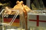 German Octopus Remains Perfect