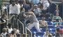 Fight Interrupts Djokovic Match