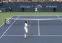 Victor Hanescu's Trick Shot
