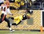 Troy Polamalu Picks Palmer for TD