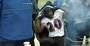 Ed Reed's Jacket Fire