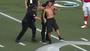Fans Interrupt Play at Pro Bowl