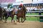 Animal Kingdom Takes 137th Kentucky Derby