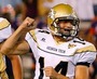 Georgia Tech-Clemson Highlights