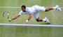 Djokovic vs. Tsonga Highlights
