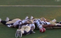 CFL Team Celebrates By Planking