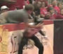 Arena League Fan Gets in on the Action
